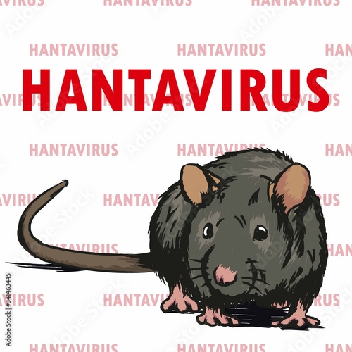 Gray rat with hantavirus inscription on top. Rodent and dangerous new virus. Chinese infectious disease