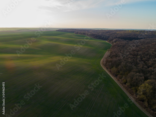 Spring field and forest. Aerial view Landscape of spring field and forest in the setting sun. Aerial view