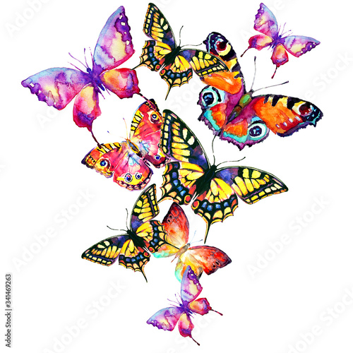 watercolor butterflies on a white
