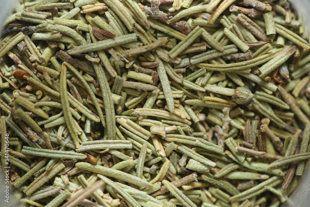 Alecrim, a erva que alegra a alma, é usada desde a antiguidade para cura e tratamento de diversas doenças.