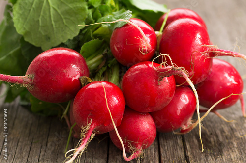 Harvested bunch of fresh raw red radishes with leaf on wooden background. Healthy organic vegetable ( Raphanus sativus )