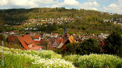 weiße Frühlingsblumen vor herrlichem Stadtpanorama von Calw im Nordschwarzwald an sonnigem Tag photo