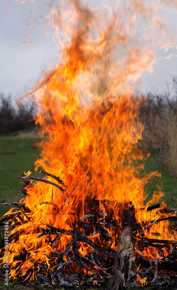 Big bonfire in nature. Long fiery flames.