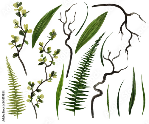 Dark green watercolor greenery collection, hand drawn vector
