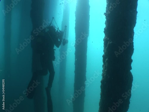 fish and scubadiver scenery under the pier sun rays and beams ocean scenery