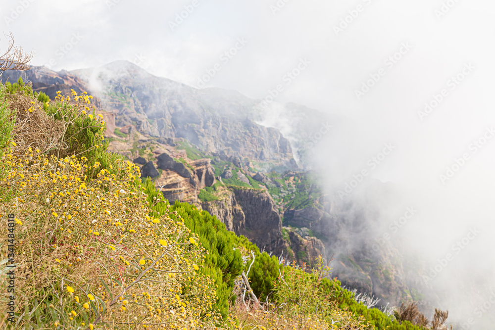 Φωτογραφία Landscape with a tourist trail in the mountains of Madeira, Portugal on a sunny summer day