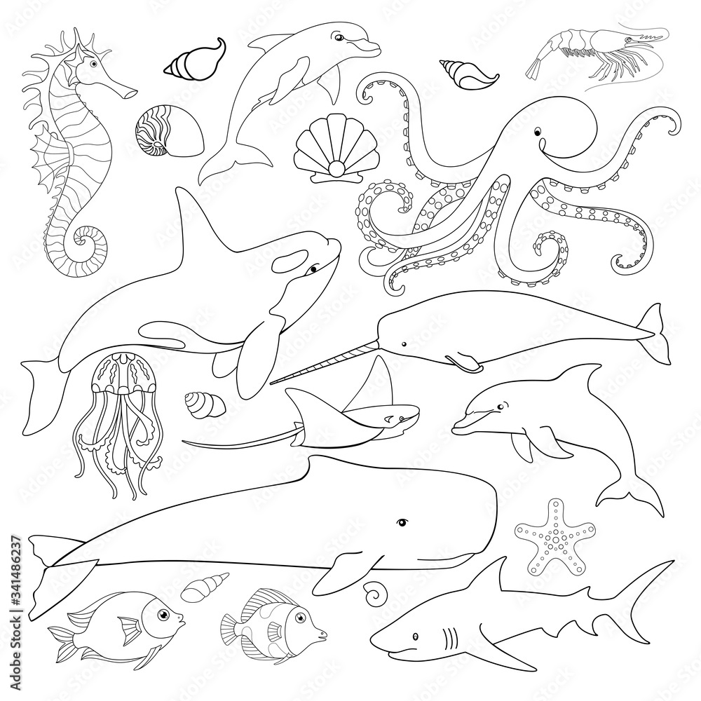 Fototapeta premium Set of linear marine vector animals for coloring. Inhabitants of the underwater world - sperm whale, killer whale, fish, stingray, shark, dolphins, seahorse and octopus and others - set for a coloring