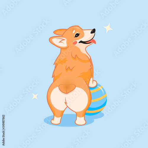 Cute smiling corgi dog with a ball vector cartoon illustration. Kawai corgi puppy looking back print. Isolated on blue background
