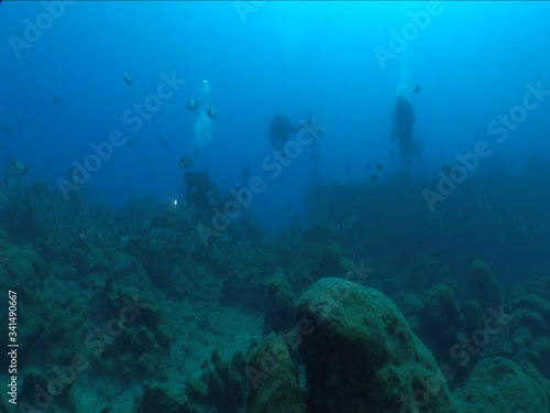 Wallpaper Mural ship wreck underwater with fish around scuba divers to explore ocean scenery of shipwreck Torontodigital.ca