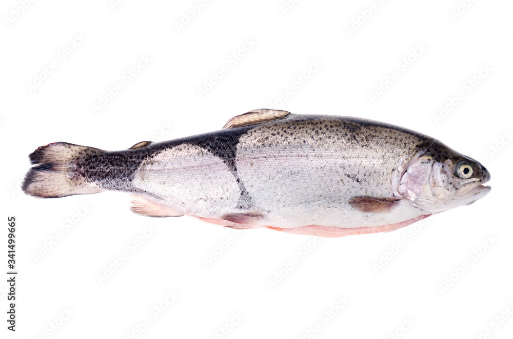 Rainbow trout peeled for cooking fish dishes on white background. Rainbow trout peeled for cooking fish dishes on white background.