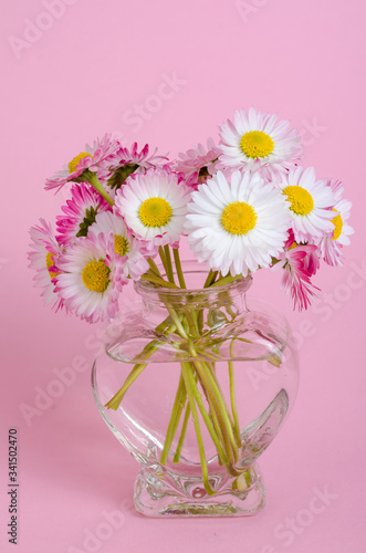 Wallpaper Mural Pink background for valentines day card, vase with flowers in shape of heart. Torontodigital.ca