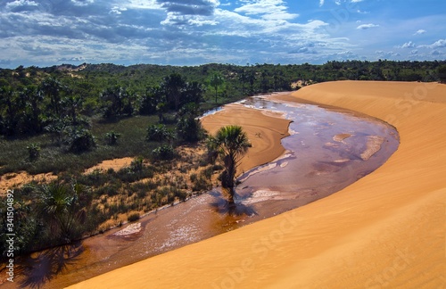 Jalapao sand dunes, contrasting with green vegetation and water course, forming an oasis. Dunas do jalapao e oasis. photo