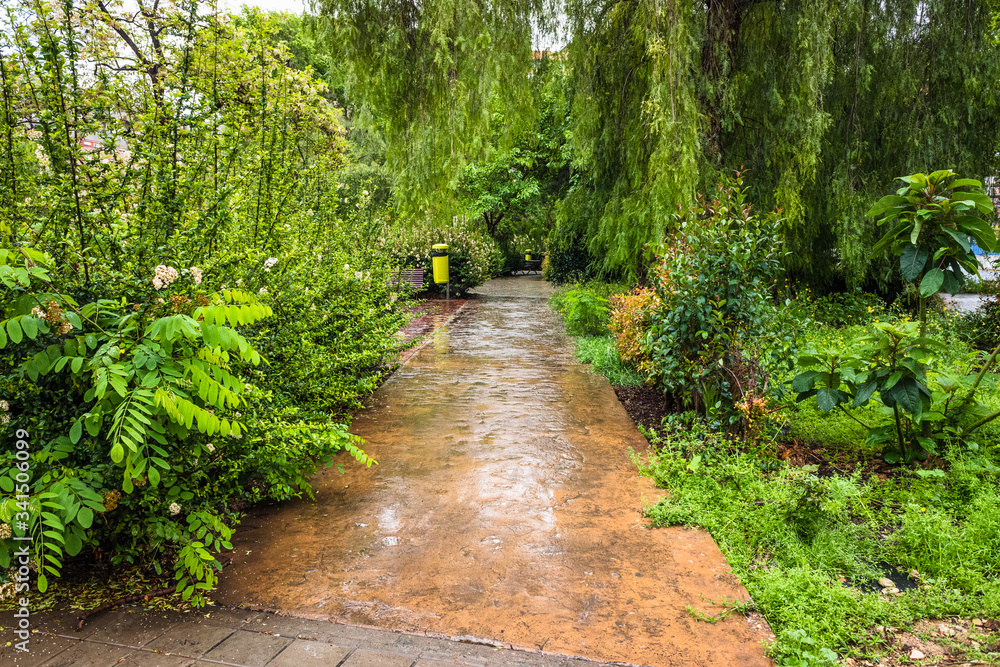 Fototapeta premium Path through a park with waste bins on a rainy day.