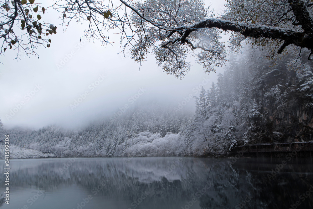 Fototapeta premium 雪景色５