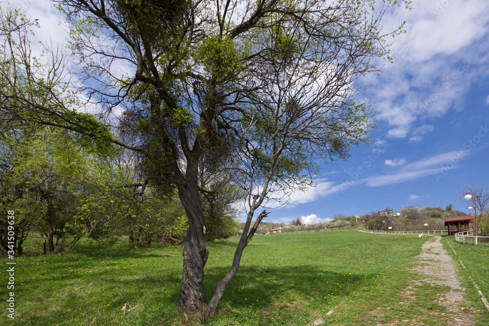 Spring Landscape of Balkan Mountains, Bulgaria Spring Landscape of Balkan Mountains, Bulgaria