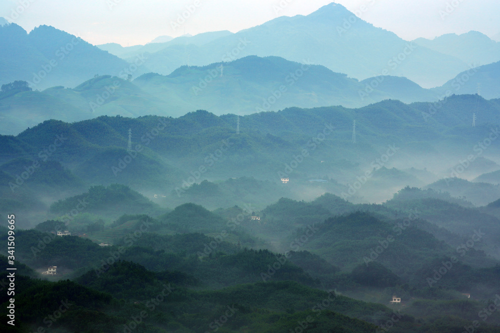 八重山4 八重山4