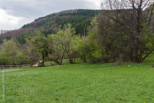 Spring Landscape of Balkan Mountains, Bulgaria photo