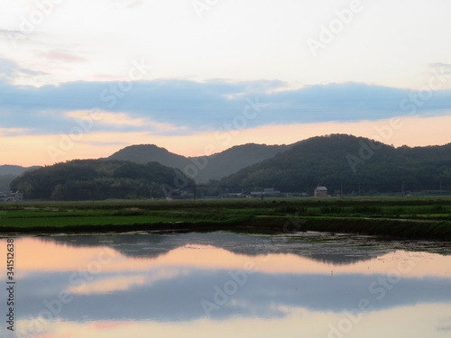 日本の田舎の風景　7月　空を写す田んぼの夕景 © 史恵 堤