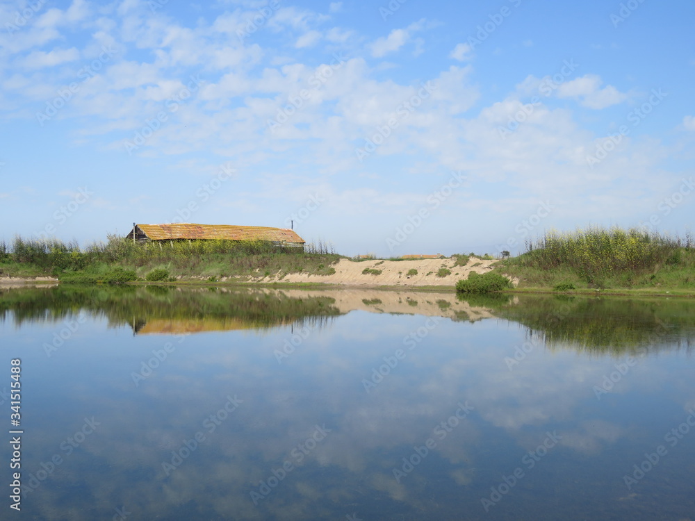 Salinas 
Figueira da Foz