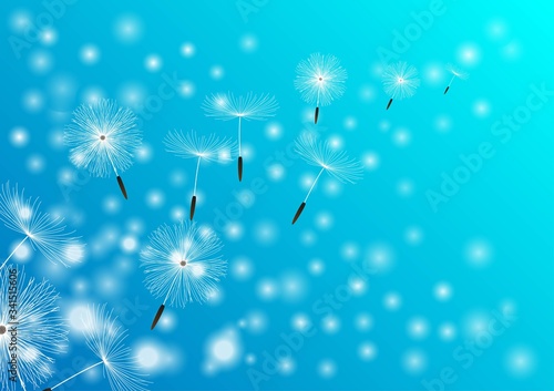 Freedom flower   Trendy nature background blue with dandelion blowing seeds . Floral wallpaper with summer or spring flower and flying fluff . Blooming Blossom . Vector illustration