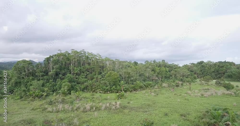 Aerial view of tropical forest on a cloudy day in the tropics Aerial view of tropical forest on a cloudy day in the tropics