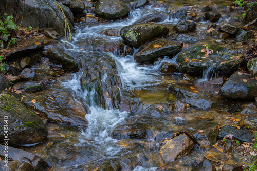 Rocky Stream with Fallen Leaves Detail