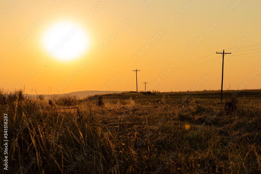 Blazing hot sun over a dry grass western desert with telephone poles leading into the distance