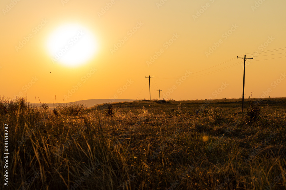 Fototapeta premium Blazing hot sun over a dry grass western desert with telephone poles leading into the distance
