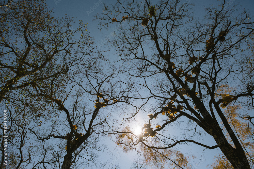 A collection of outdoor activity in the beautiful nature A collection of outdoor activity in the beautiful nature