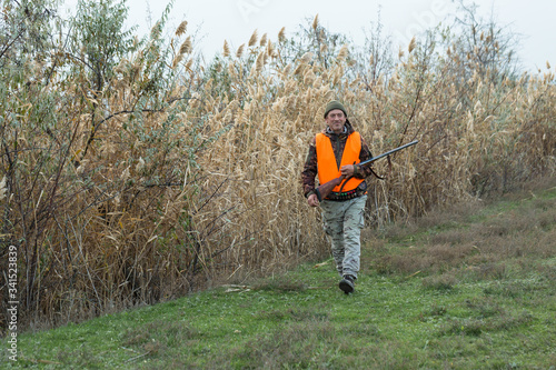 A man with a gun in his hands and an orange vest on a pheasant hunt in a wooded area in cloudy weather. Hunter with dogs in search of game.