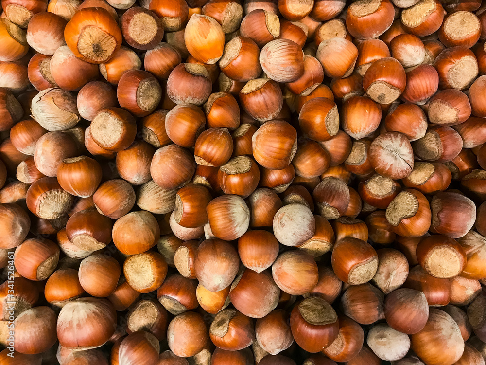 Hazelnut food background. Heap of unpeeled hazelnuts Hazelnut food background. Heap of unpeeled hazelnuts