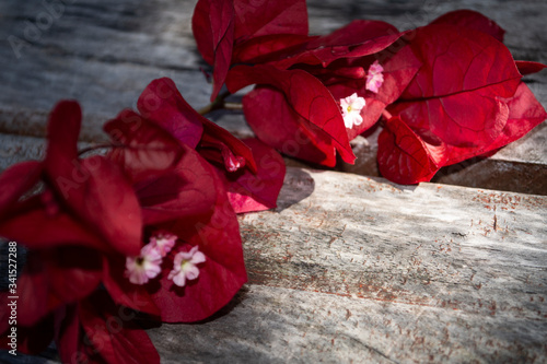 bouquet of red bougainvillea flowers on wooden and sunlit surface photo