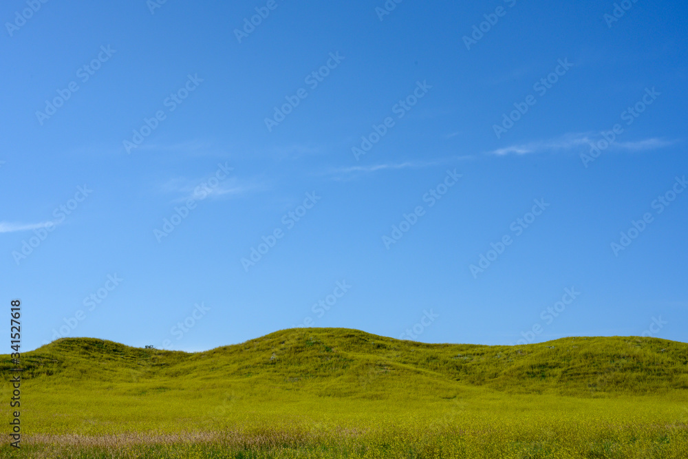 Blue Sky Over Green Hills in Badlands