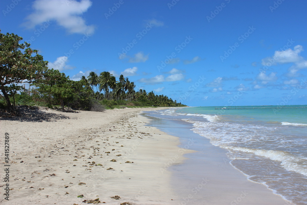 tropical beach with white sand, blue sky and palm trees