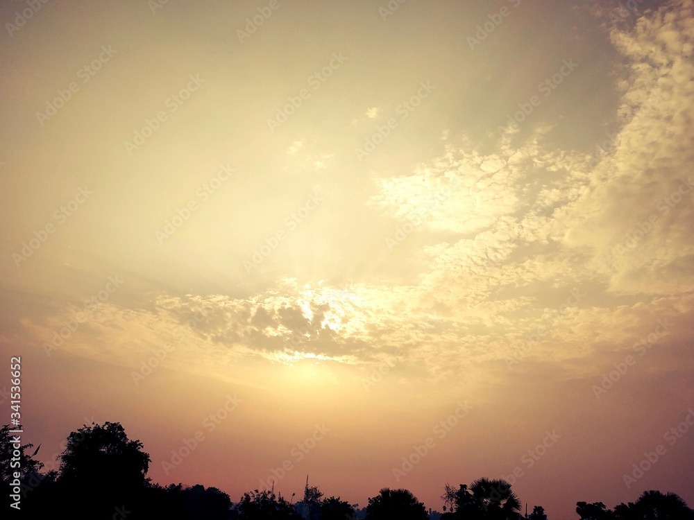 Fototapeta premium Evening sunset nature view Stock Photos
