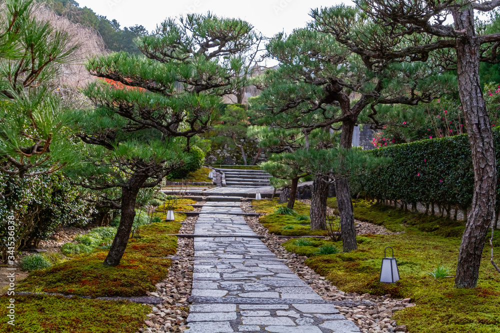 京都　圓光寺