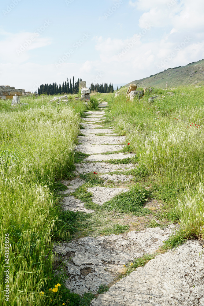 Beautiful Roman ancient ruins of hierapolis Pamukkale with meadow field Beautiful Roman ancient ruins of hierapolis Pamukkale with meadow field