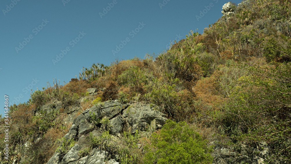 The limestone mountains with brown and green color leaves trees in forest at summer with blue sky in background, Khao Sam Roi Yot National Park, Thailand