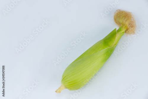 Corn  in the pod isolated from corn field on white background.