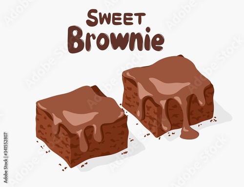 vector chocolate brownies isolated on white background. two brownie cake pieces as homemade dessert food
