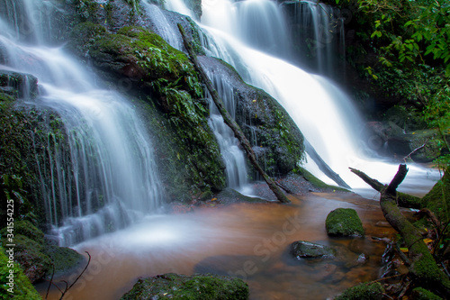 waterfall in the forest