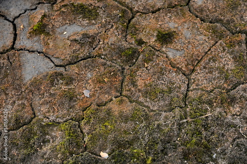 Dry, cracked earth in the polar tundra.