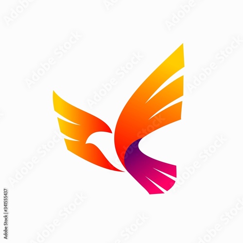 condor vector logo, bird logo design