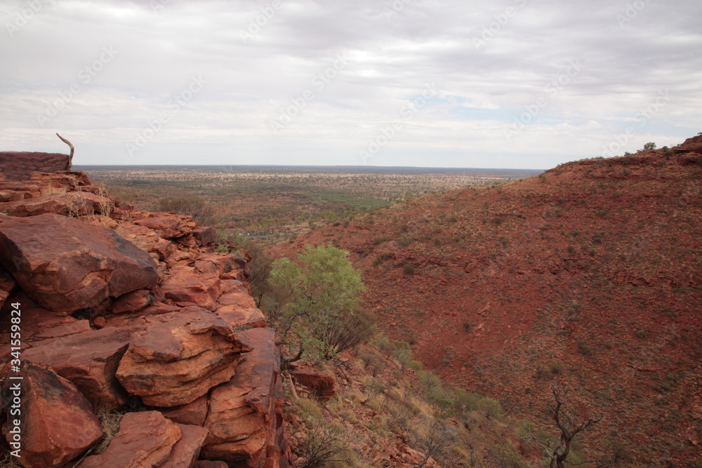 Landscape of kings canyon in outback central Australia.