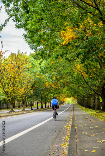 Cyclist in sports clothes enjoying in riding a bicycle passing on the autumn alley preferring active healthy lifestyle