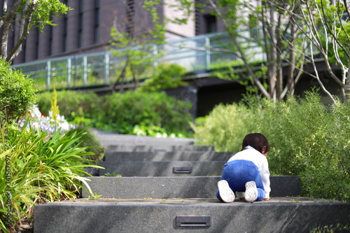 Wallpaper Mural 階段をハイハイして登る子供　ローアングル Torontodigital.ca