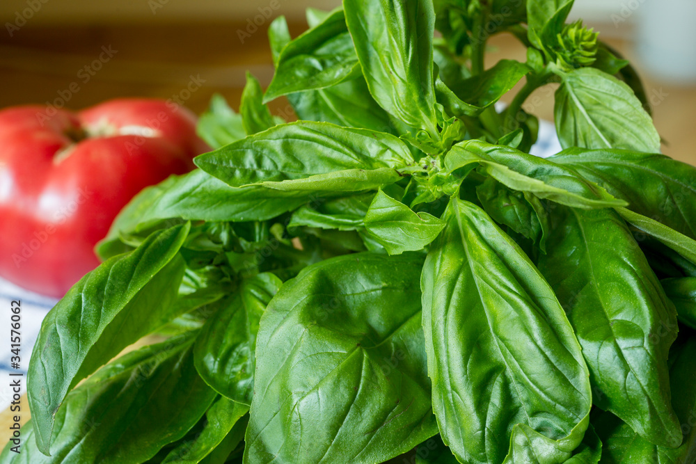 GARDEN TOMATO AND FRESH BASIL GARDEN TOMATO AND FRESH BASIL