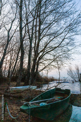 An empty little boat in Trasimeno lake  Umbria  Italy  at dusk  near a skeletal tree creating beautiful texture with its branches
