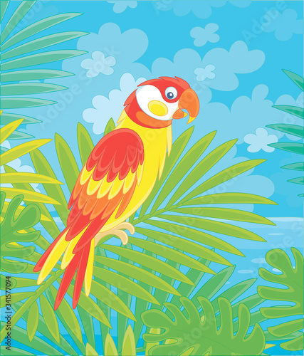 Amusing colorful parrot, long-tailed and with brightly colored plumage, perched on a green palm tree branch in a tropical jungle, wild scenery, vector cartoon illustration