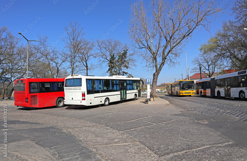 Fototapeta premium Buses standing at the terminal